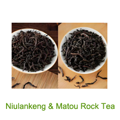 Narcissus Tea