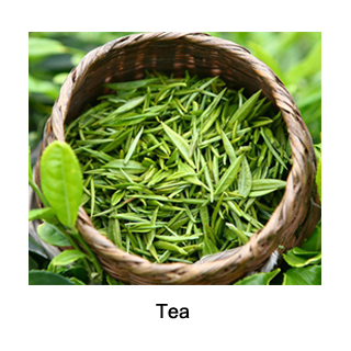 Tea
